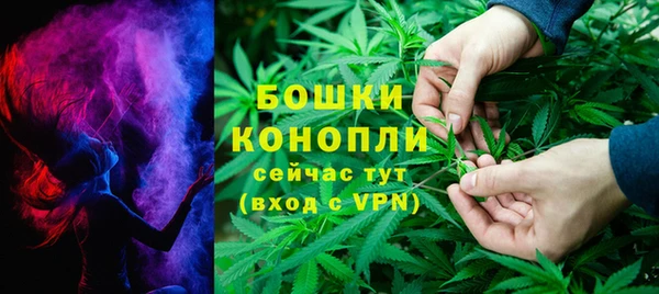 шишки Анива