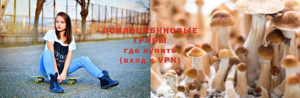 бошки Апатиты