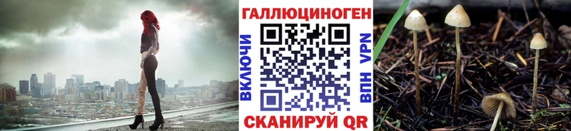 Галлюциногенные грибы мицелий  Пласт 